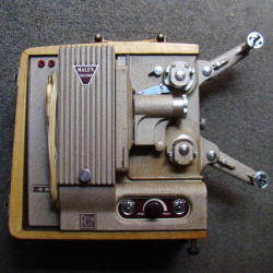 Ercsam Malex Record