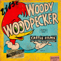 Woody Woodpecker "Niagara Fools"