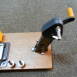 Rembobineuse multiformat
